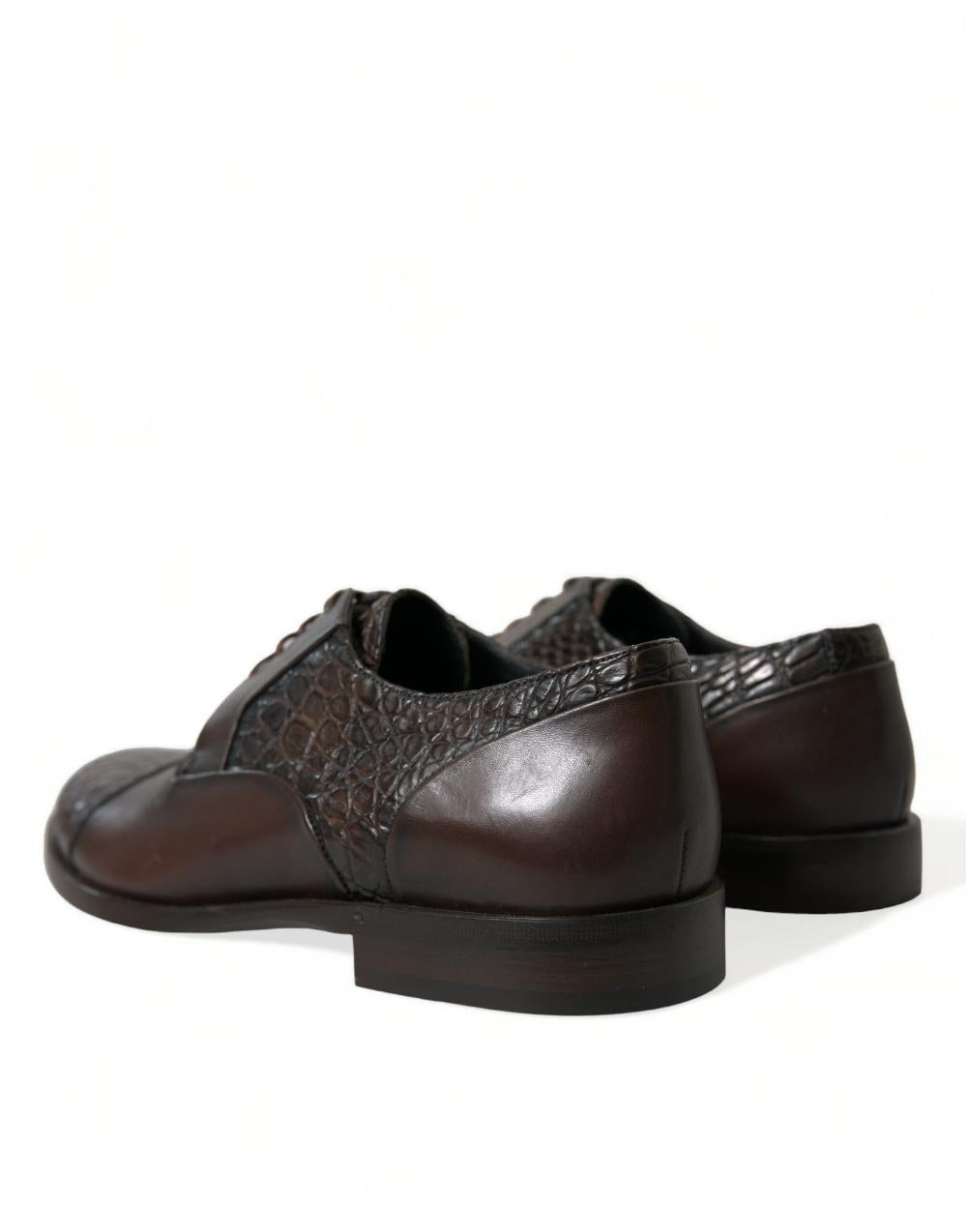 Scarpe eleganti Oxford stringate in pelle esotica marrone